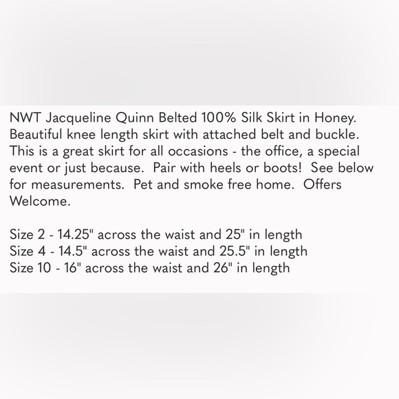 Jacqueline Quinn Belted 100% Silk Skirt in Tan - Picture 9 of 9